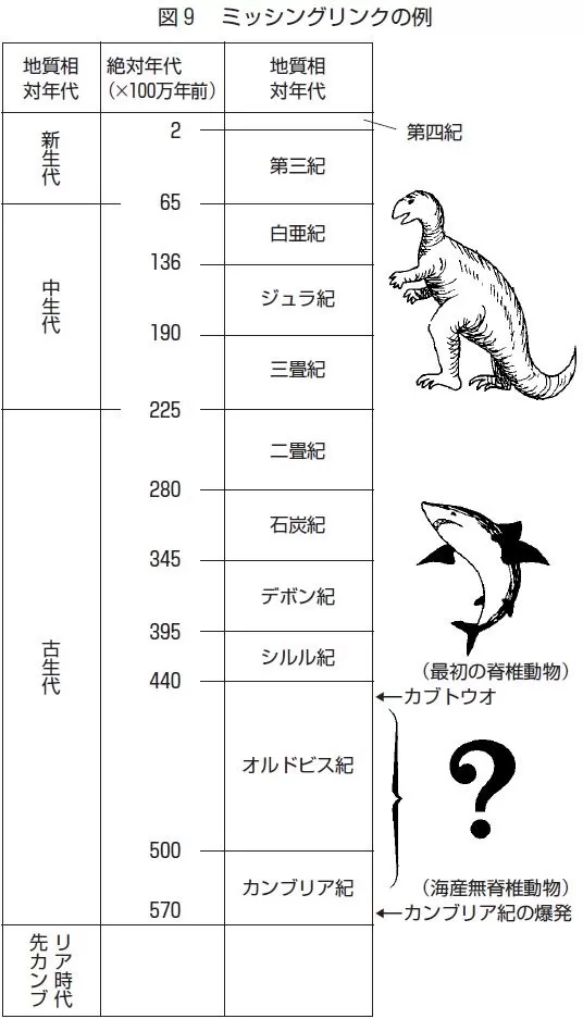 【中古】 進化論から新創造論へ ダーウィニズムの誤りと統一思想からの提案/光言社 Amazon.co.jp: 進化論から新創造論へ―ダーウィニズムの誤りと